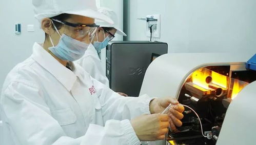 乳品中國造，完達(dá)山以實(shí)干鑄就國貨品質(zhì)標(biāo)桿